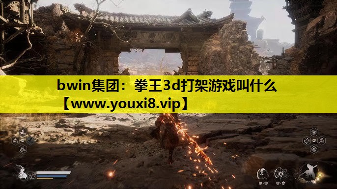 bwin集团：拳王3d打架游戏叫什么